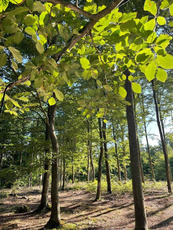Naturglamping Kristianstad Exteriér fotografie