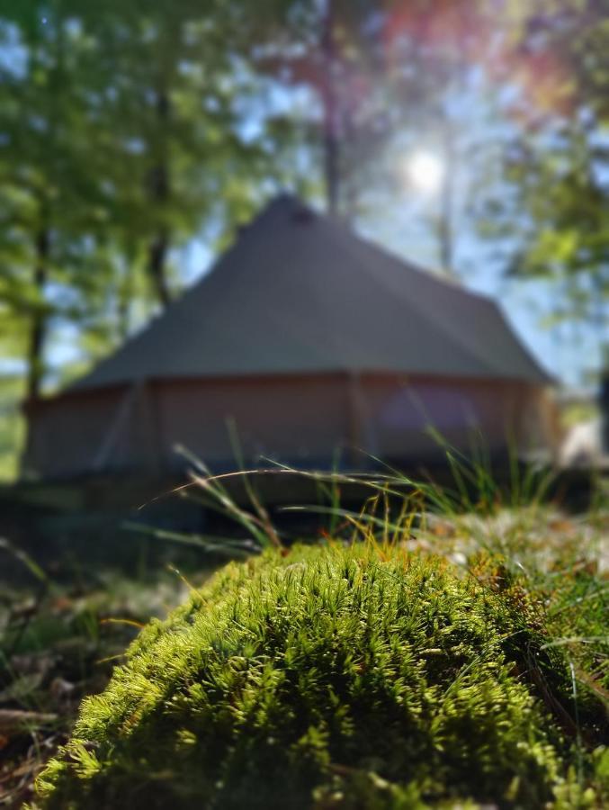 Naturglamping Kristianstad Exteriér fotografie