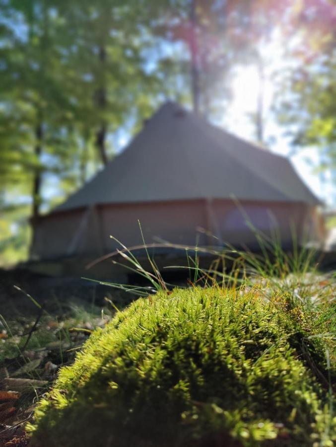 Naturglamping Kristianstad Exteriér fotografie